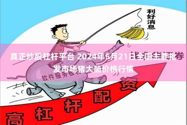 真正炒股杠杆平台 2024年5月21日全国主要批发市场猪大肠价格行情