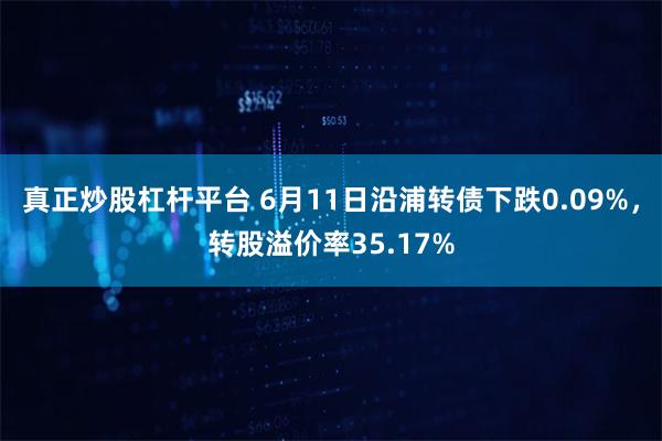 真正炒股杠杆平台 6月11日沿浦转债下跌0.09%，转股溢价率35.17%