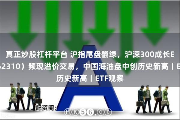 真正炒股杠杆平台 沪指尾盘翻绿，沪深300成长ETF（562310）频现溢价交易，中国海油盘中创历史新高丨ETF观察