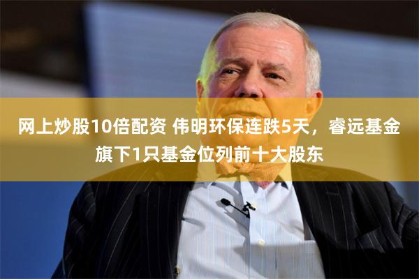 网上炒股10倍配资 伟明环保连跌5天，睿远基金旗下1只基金位列前十大股东