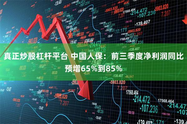 真正炒股杠杆平台 中国人保：前三季度净利润同比预增65%到85%