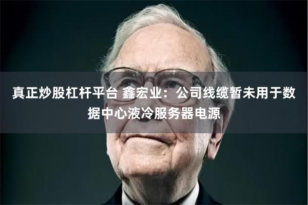 真正炒股杠杆平台 鑫宏业：公司线缆暂未用于数据中心液冷服务器电源