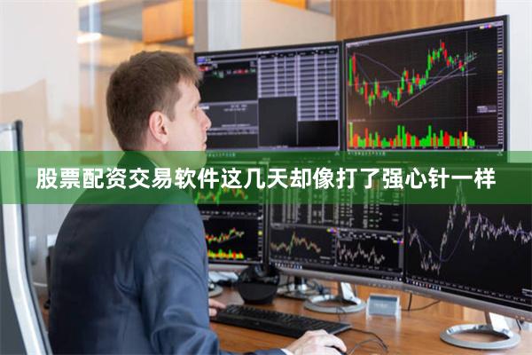 股票配资交易软件这几天却像打了强心针一样