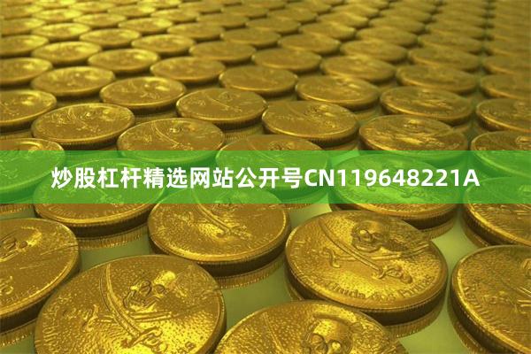 炒股杠杆精选网站公开号CN119648221A